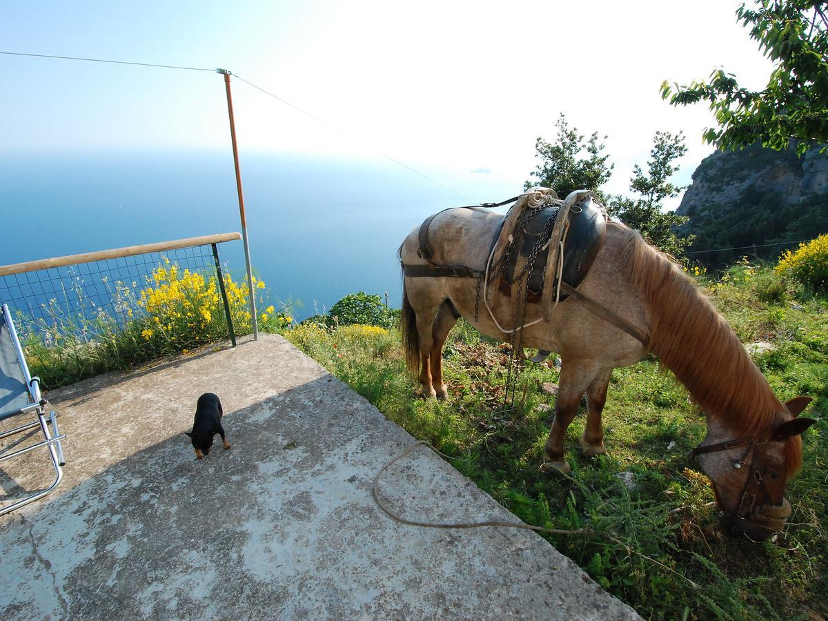 Holiday Home Path Of The Gods By Interhome Pianillo Exterior foto